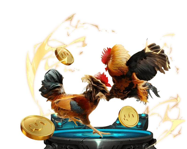 Mã hóa dữ liệu tại 188v nhà cái